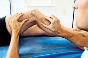 Knee with goniometer
